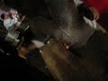 MVI_2160.avi