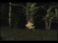Click here to watch this video Frontiers - Take