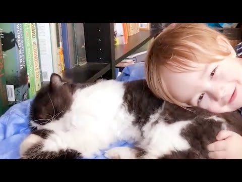 Baby And Cat Fun And Cute #6 - Funny Baby Videos