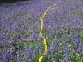 andy goldsworthy - YouTube
