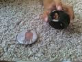 Buttons from Michael Jackson at Clevelend School 1984