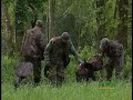 Florida Turkey Attack