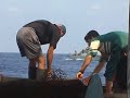 Israeli Navy shoots at Gaza fishermen and international volunteers