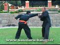 Trailer Pencak Silat DVDS