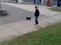 lee's a crazy stunt