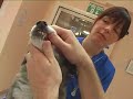 Watch the Dog Health 2 Video
