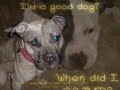 For The Love Of Pits