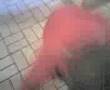 tarterets falaye dance tro nda
