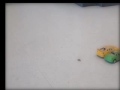 Cars in the Hall