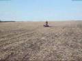 SFX quad wheelies 