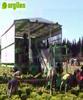 ARGIL�S - MODELO AFH (www.argiles.es)