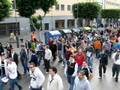 videos de Manifestacion Informaticos en Almeria