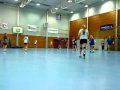 flint - hk gokstad