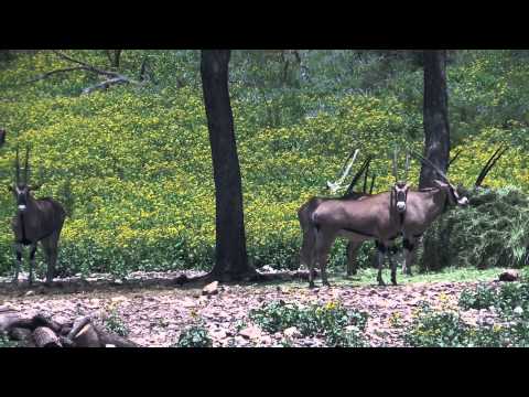 27,000 acres Mountain Home, TX