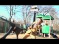 Holiday Film from Greg Hren Photography