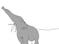 le vol de l'éléphant