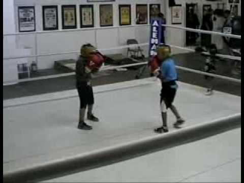 Boxer aleman