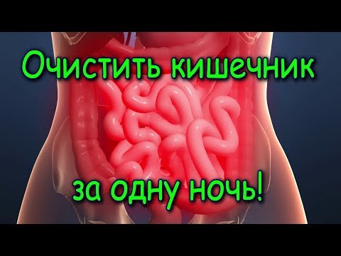 Почистить кишечник от шлаков в домашних условиях 560 Почистить кишечник от шлаков в домашних условиях 814