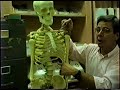 Bones of the Upper Extremities I