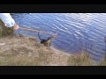 Jerry the Alligator.wmv