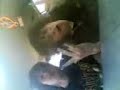 carty & momo