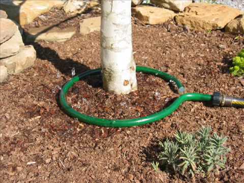 Trickle Irrigation
