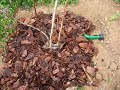 Trickle Irrigation