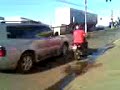 fugindo dos traveco!