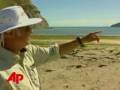 Dolphin-Rescues-Stra