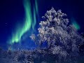 Lapland Auroras Lapland Auroras