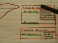 Hepatic Physiology