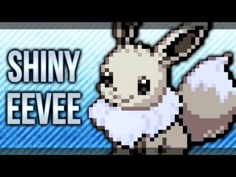 how to obtain eevee in pokemon white