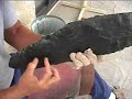 24\" Dance blade from 300# rock - part 6