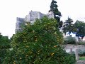 Walking along the walls of the Castle of Tomar