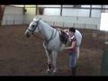 Instructional Riding 101