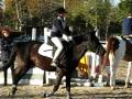cecilia & braccobaldo 1° test  pony club roma