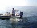 YouTube - Lil' Cobia