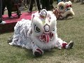 borneo-lion-dancers-part-2-heritage-days.html