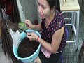 Click here to watch this video Dreads with Soft Style Crochet Hook Method from Bangkok Video 1