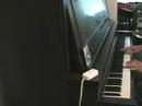 piano-medley-1.html