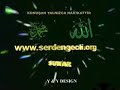 serdenge-t-jenerk-.html