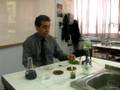 videos de fotosintesis