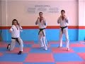 Martial Arts Drills - Technique Add On