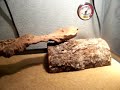 [iG] My Personal Leopard Gecko Enclosure