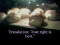 Click here to watch this video Semla!