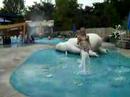 Morgan at the zoo