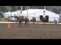 Private Hoofin - AQHA - 2