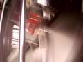 videos de Bomber New Edge
