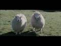 Black Sheep (Pecore Assassine) trailer italiano