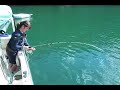 The Lunker